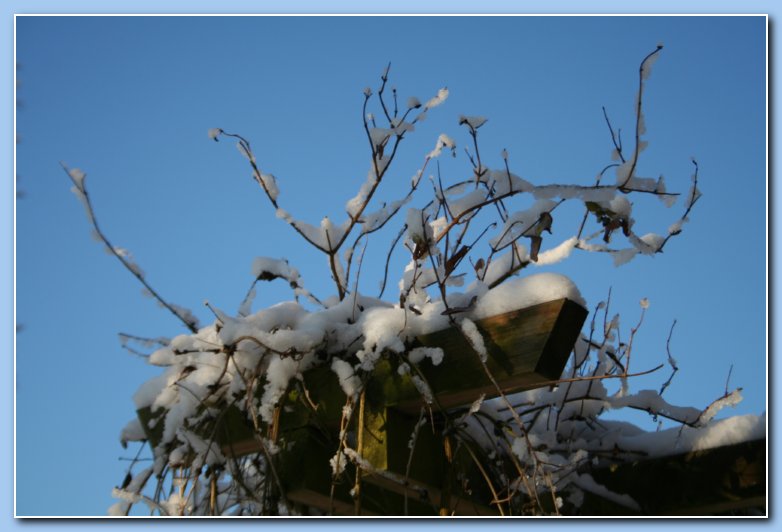 Arnhem Snow 007